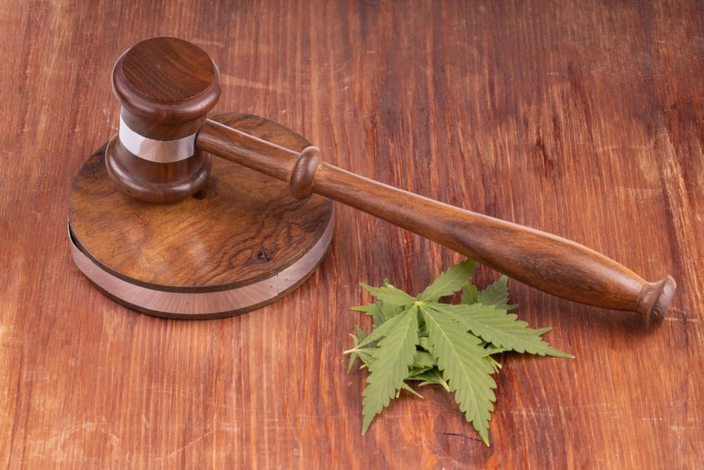 Wooden judge’s gavel resting on desk beside marijuana leaf.