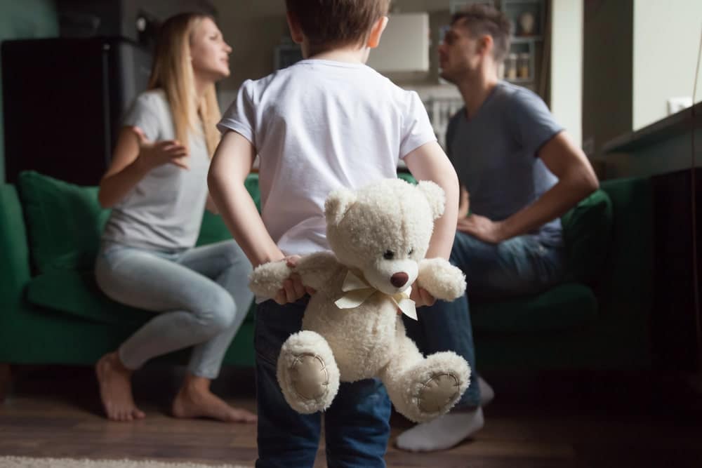 Child Custody Issues In Florida Domestic Violence Cases