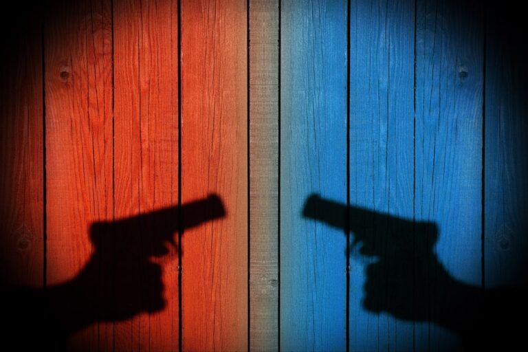 Image is of two handgun silhouettes facing each other against contrasting backgrounds, symbolizing legal conflict and firearm restrictions after a DV conviction in Florida