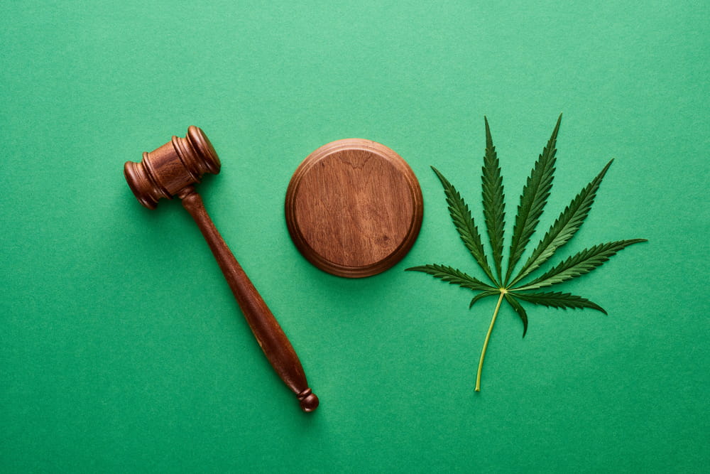 Image is of a courtroom gavel beside a cannabis leaf, symbolizing how Florida drug court addresses substance related offenses through supervised legal programs.
