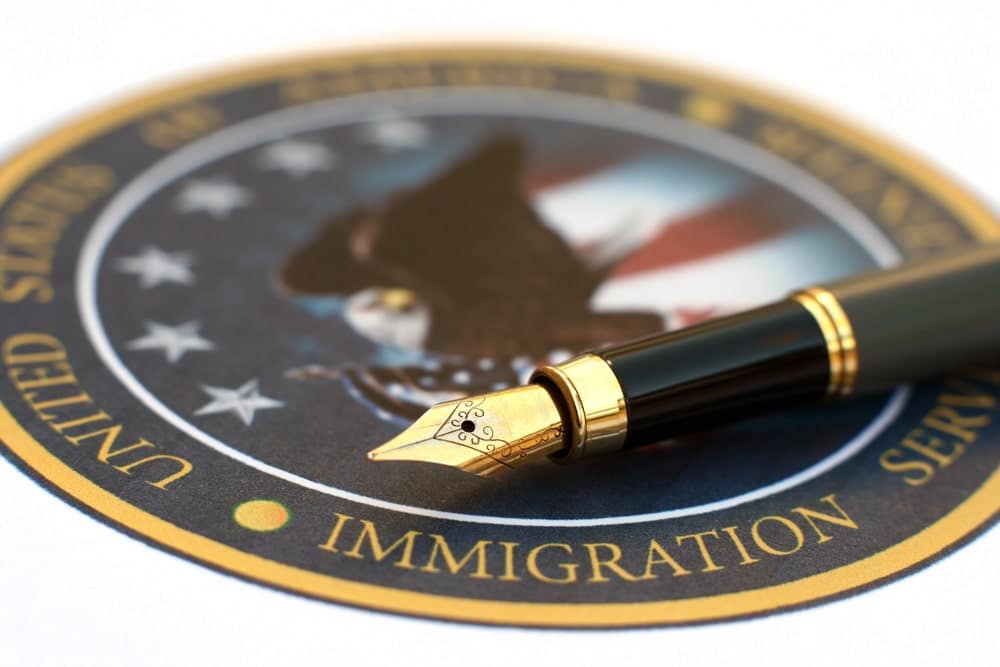 Image is of a pen resting on a U.S. immigration seal, concept of DV charges and immigration status.